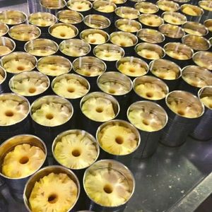 Factory Price Canned Pineapple Slices Chunks Tidbits in Light or Heavy Syrup <b>3kg</b> Bulk Vietnam Export Quality - Ms. Tarina - Product Image 1