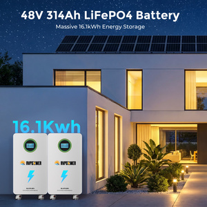 แบตเตอรี่ LiFePO4 51.2V 314Ah 16.07kWh อายุการใช้งาน 10 ปี คายประจุเองได้น้อย สำรองไฟฉุกเฉินสำหรับบ้าน พร้อมระบบ BMS ในตัว - Product Image 5