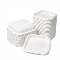 Plateau jetable écologique léger en bagasse de canne à sucre blanc de 7 pouces, compatible micro-ondes, pour aliments