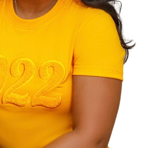 T-shirt en chenille dorée Sigma Gamma Rho 1922 pour femme, broderie, mélange de coton, manches courtes, coupe décontractée et élégante - Product Image 5