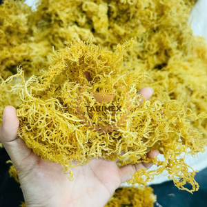 ฝ้ายคอตตอนสุริช/มอส/มอสทะเลอบแห้งสไตล์วีแกน100% ผลิตจากเวียดนาม - Product Image 1