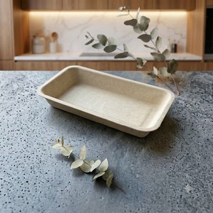 Assiettes rectangulaires biodégradables de 7 pouces en bagasse de canne à sucre naturelle, assiettes jetables pour collations - Product Image 3