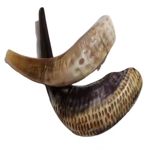 แตรเขาแกะแท้ธรรมชาติแบบขัดครึ่งหนึ่ง แตรแกะสำหรับดนตรี ของขวัญสำหรับชาวยิวสำหรับผู้หญิงและผู้ชาย - Product Image 5