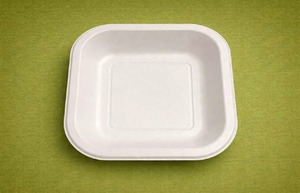 6 Inch Biodegradable Sugarcane Bagasse Square Tray – <b>Compostable</b> Disposable Serving Tray - Product Image 1