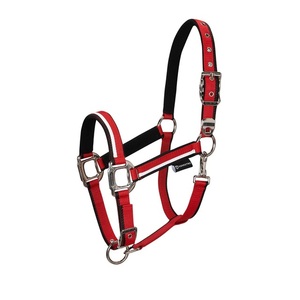 Correa de Nailon Gruesa de Color Vibrante, Ligera, para Caballos y Artículos de Equitación - Product Image 1