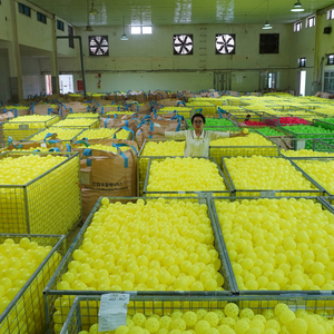 ลูกพิคเคิลบอลสีเหลืองแบบไม่มีขอบ 40 รู ชุดฝึกซ้อม 50 ลูก สำหรับใช้ในทุกฤดูกาลเพื่อความบันเทิง - Product Image 2
