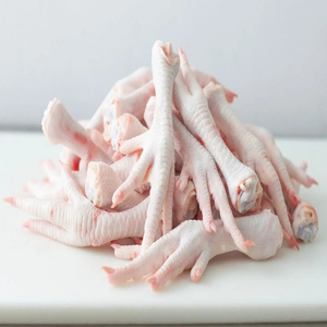 Patas de Pollo Congeladas de Primera Calidad, Venta al Por Mayor, Listas para Exportar a Todo el Mundo - Product Image 4