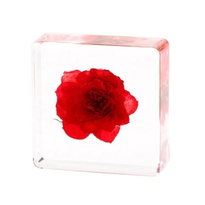 Custom Resin Flowers Specimen Circular Paperweight Home Office Decor Kid Birthday Gift Crystal Resin Crafts Educational Toys