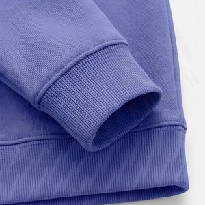 Sweat-shirts unisexes en coton premium 300 GSM, confortables, chauds, décontractés, vente en gros directe d'usine, couleur personnalisée sur mesure - Product Image 6