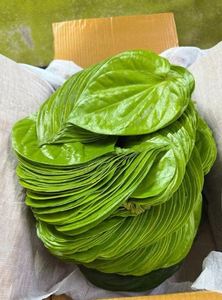 ปลากัดที่ปลูกตามธรรมชาติคุณภาพสูงการเตรียม paan ในภูมิภาค - Product Image 3