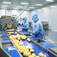Ligne de production complète de frites surgelées de 500 kg/h avec contrôle intelligent PLC pour usine de transformation de frites