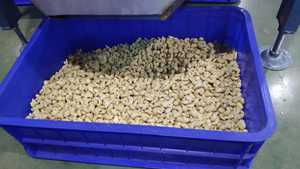 Vietnam Organic Roasted Cashew <b>Nuts</b> & <b>Kernels</b> ISO Certified Vacuum Packed Good Quality Wholesale for Export Phalco Brand Grade a - Product Image 2