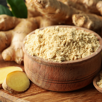 Poudre de gingembre frais Sivaroma Naturals la plus vendue, qualité 100, certifiée ISO/GMP, service OEM/ODM, durée de conservation de 24 mois pour les épices