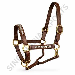 Genuine <b>Leather</b> Bling Horse <b>Halter</b> Crystal Studded Padded Headcollar with Adjustable Premium Equestrian Horse Tack Gear - Product Image 6