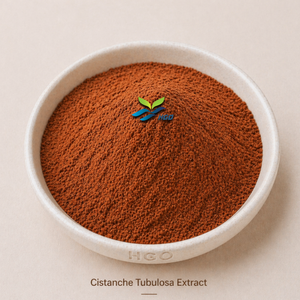 Suministro directo de fábrica HGO de extracto de Cistanche Tubulosa natural puro (grado alimenticio) Especificación 10:1 (extracto de proporción) - Product Image 1