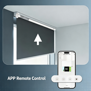 Motor Inteligente Zigbee para Persianas Enrollables, Recargable, Funciona con Batería, Compatible con Tubos de 15/25/28 mm, con Control por Aplicación Tuya - Product Image 2