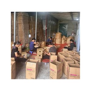 Soportes para Plantas de Interior de Alta Calidad, Diseño Clásico, Bambú, Ratán, Madera y Jacinto de Agua, Hechos a Mano con Fibra Vegetal - Product Image 3