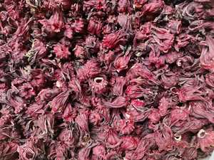 Flor de Hibisco Roja Seca Estándar para Extracción de Pigmentos Naturales, Materias Primas para Fragancias, Suministro a Granel, Alta Calidad, Global Pro - Product Image 4