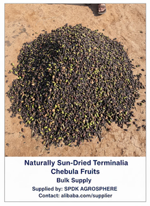 Ingrediente de Suplemento Dietético: Terminalia Chebula Negra (Myrobalan) - Product Image 5