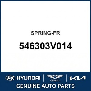 Cadenza New Leaf & Coil Springs 546303V014 - Product Image 1