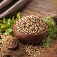 Poudre de coriandre séchée de qualité supérieure, moulue finement, épice naturelle, assaisonnement culinaire, marque Megh Exim, 1000g, la meilleure