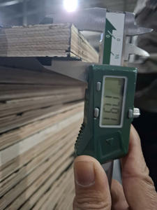 Contrachapado de Malla Metálica Antideslizante con Revestimiento de Película Premium para Construcción/Precios de Contrachapado para Construcción/Contrachapado Marino de 18 mm - Product Image 5