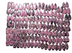 Pendientes de Cabujón de Cuarzo Natural al por Mayor, Gemas Sueltas para Fabricación de Joyas a Granel - Product Image 2