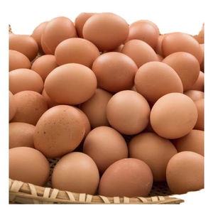 Huevos de Gallina Premium Frescos de Granja, Huevos Blancos de Tamaño Grande, Grado Alimenticio, Venta al por Mayor, Suministro a Granel, Fabricante, Exportación - Product Image 1