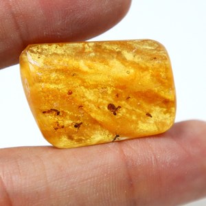 Cabochon lisse en ambre naturel de la Baltique avec insectes inclus, pierre précieuse en ambre en vrac - Product Image 2