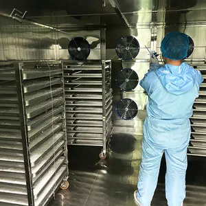 Machine de déshydrateur de viande de poisson de contrôle plc machine de déshydrateur de poisson machine de séchage de poisson - Product Image 6