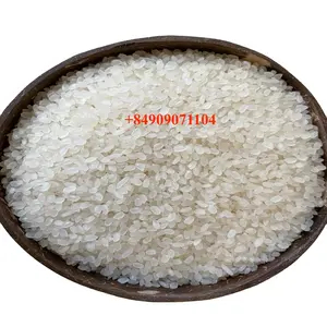 Japonica rice for Jordan market with good quality from Vietnam