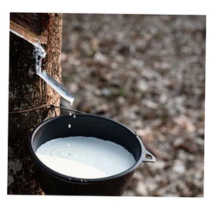 Caucho de látex blanco totalmente natural de primera calidad y más vendido del Reino Unido - Product Image 2