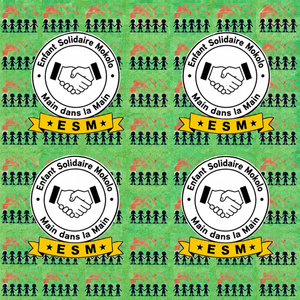 Tissu géotextile léger imprimé logo africain en chevron pour sacs et vêtements - Fabricant de textiles en gros - Product Image 1