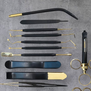 Kit d'outils de précision dentaire de classe I en acier inoxydable plaqué or de qualité chirurgicale supérieure, 1 ensemble, autoclavable - Product Image 4