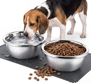 Tazones de Acero Inoxidable de Primera Calidad para Comida y Agua de Perros y Gatos - Ecológicos, Duraderos, Portátiles, con Soporte Elevado, a Prueba de Fugas - Product Image 3