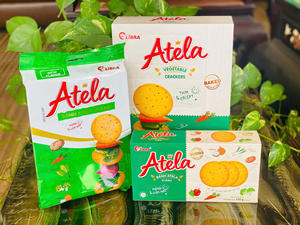 ขนมขบเคี้ยวผักอบกรอบ Atela 342 กรัม รสเค็ม น้ำหนักเบา ไขมันต่ำ บรรจุกล่อง รับผลิตแบบ ODM OEM ขายส่งจากโรงงานเวียดนามโดยตรง ฟรี - Product Image 1