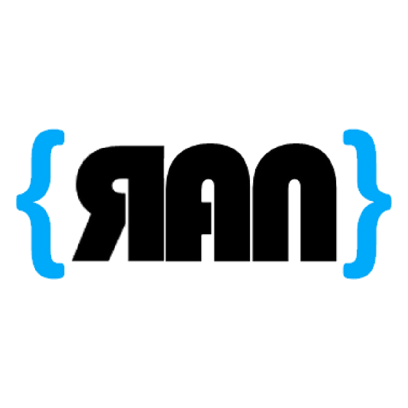 RAN Soft GmbH & Co KG logo