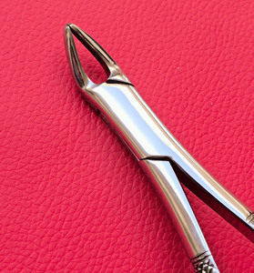 Forceps à dents incurvées de 7 pouces, outil d'extraction dentaire de précision pour les soins équins - Product Image 5