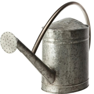 Arrosoir en acier galvanisé robuste, style vintage, pot à eau en métal pour jardin avec bec amovible pour plantes d'intérieur et d'extérieur - Product Image 1