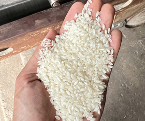 Camolino Rice – Premium Egyptian Rice | Soft Texture Fragrant Taste Authentic Middle Eastern <b>Grain</b> - Product Image 4