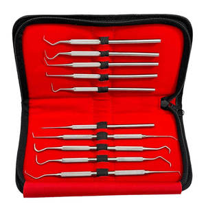 Stainless Dentist Cleaning Tool Set 7pcs Dental Hygiene Kit Scaler Pick Mirror with Zipper <b>Case</b> CE Approved By Grip Surgical - Product Image 2