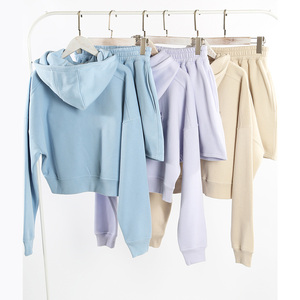 ชุดเสื้อสเวตเตอร์มีฮู้ดผ้าฟลีซสีฟ้าอ่อนสำหรับผู้หญิง ชุดลำลองโอเวอร์ไซส์สองชิ้น สีพื้น ใส่ได้ในฤดูใบไม้ร่วง - Product Image 2