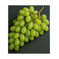 Verse Groene Druiven Premium Kwaliteit 100% Natuurlijk Sappig Zoet voor Groothandel en Wereldwijde Exportmarkten