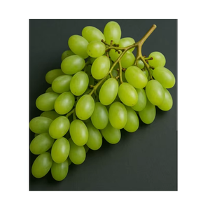 Fresh Green Grapes Premium Grade 100% Natural Juicy Sweet for Bulk Wholesale and Global Export Markets - Product Image 5