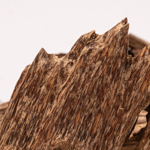 Agarwood Raw Material for Distillation - Product Image 3