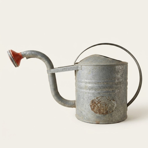 Handcrafted Vintage Galvanized Iron Watering Can Durable Rustic Metal <b>Garden</b> Tool For Indoor & Outdoor Plants Antique Style Can - Product Image 1