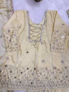 Salwar Beige de Lujo con Bordado Intenso, Estilo Pakistaní, Largo hasta el Suelo, para Bodas y Fiestas, con Dupatta, Ropa Étnica de Diseñador para Mujer - Product Image 5