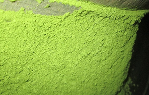 Extracto natural superventas Gotu Kola en polvo GRADO DE EXPORTACIÓN DE Vietnam con precio competitivo - Product Image 2