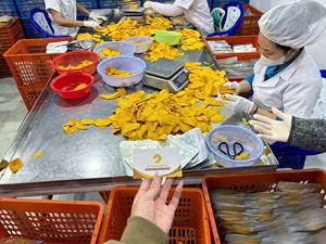 Tranches de mangue séchées 100% mangue fraîche, faible teneur en sucre, goût sucré, collations saines et végétaliennes, en vrac/en cadeau/emballées sous vide - Product Image 2