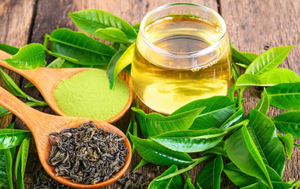 Venta al por mayor de fábrica: Extracto de té verde silvestre 99% puro en polvo, ingrediente con 50% de polifenoles de té, extracto natural de té verde en polvo. - Product Image 6